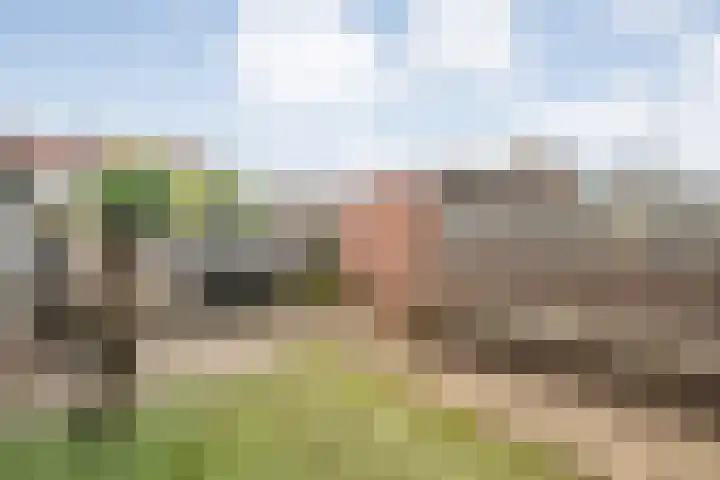 Celebesstraat 16 Zwolle thumbnail 30