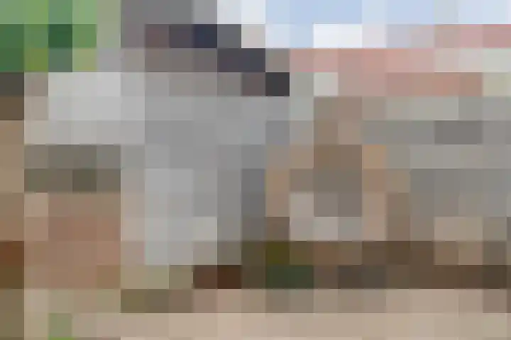 Celebesstraat 16 Zwolle thumbnail 31