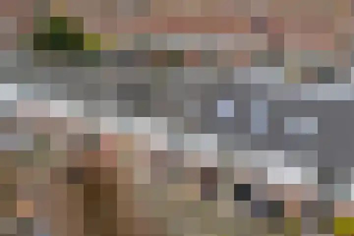 Celebesstraat 16 Zwolle thumbnail 33