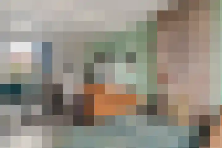 Celebesstraat 16 Zwolle thumbnail 5