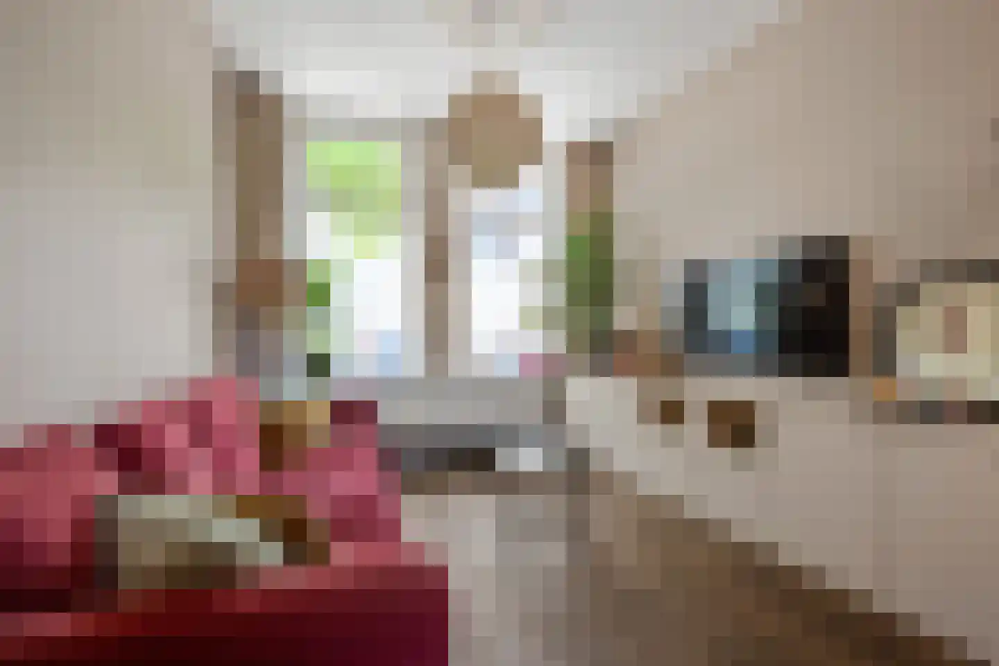 Celebesstraat 17 Haarlem thumbnail 12