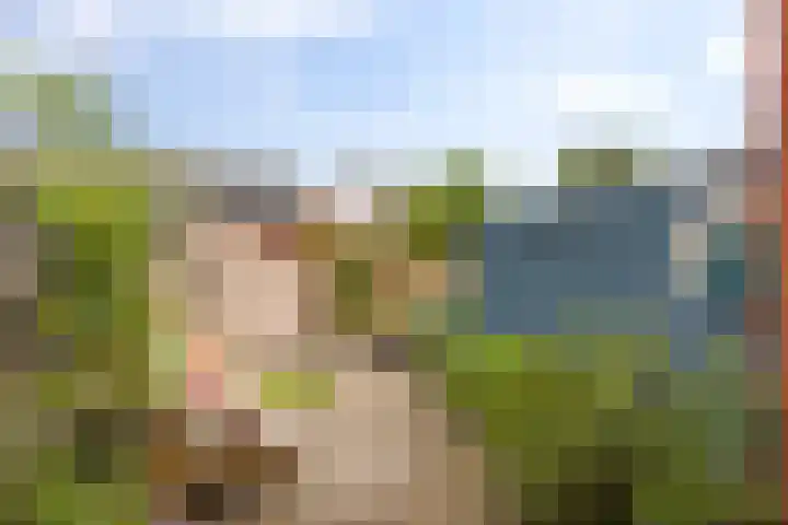 Celebesstraat 25 Groningen thumbnail 33