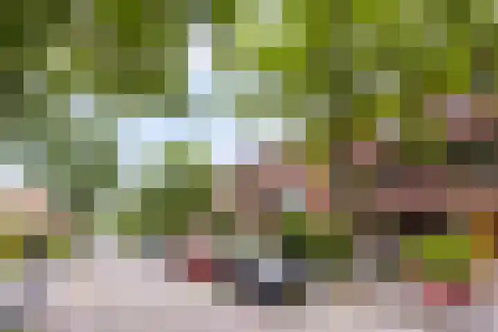 Celebesstraat 25 Groningen thumbnail 38