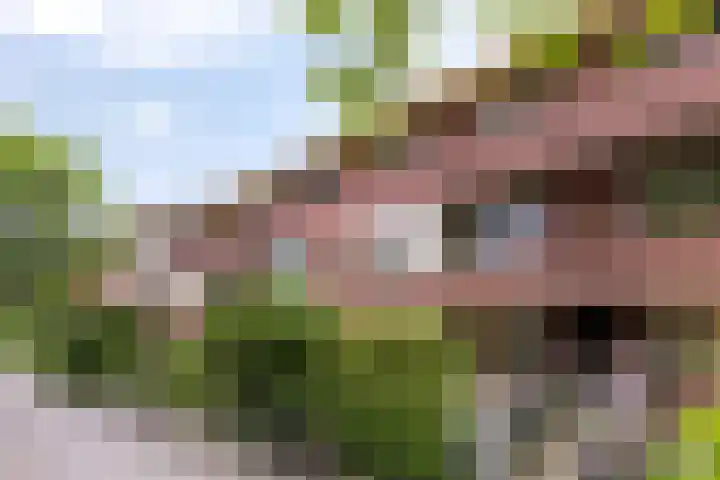 Celebesstraat 25 Groningen thumbnail 39