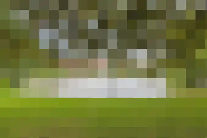 Celebesstraat 25 Groningen thumbnail 40