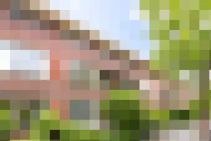 Celebesstraat 25 Groningen thumbnail 5