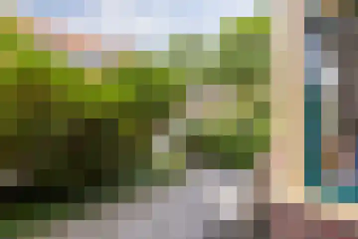 Celebesstraat 25 Groningen thumbnail 7