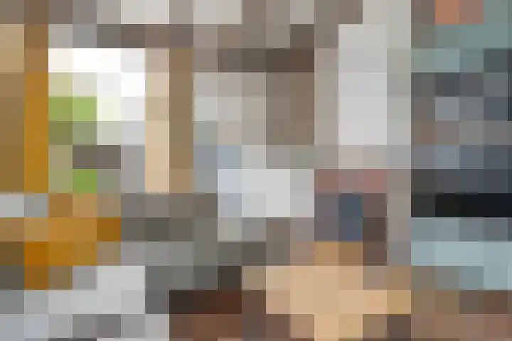 Celebesstraat 26 Zwolle thumbnail 12