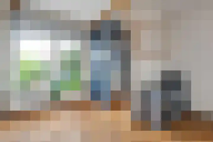 Celebesstraat 26 Zwolle thumbnail 21