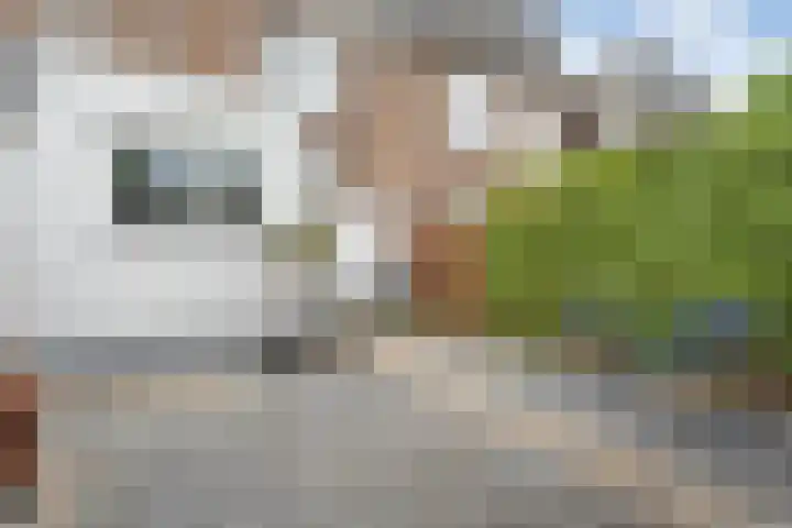 Celebesstraat 26 Zwolle thumbnail 28