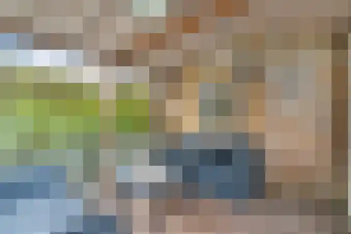 Celebesstraat 26 Zwolle thumbnail 30
