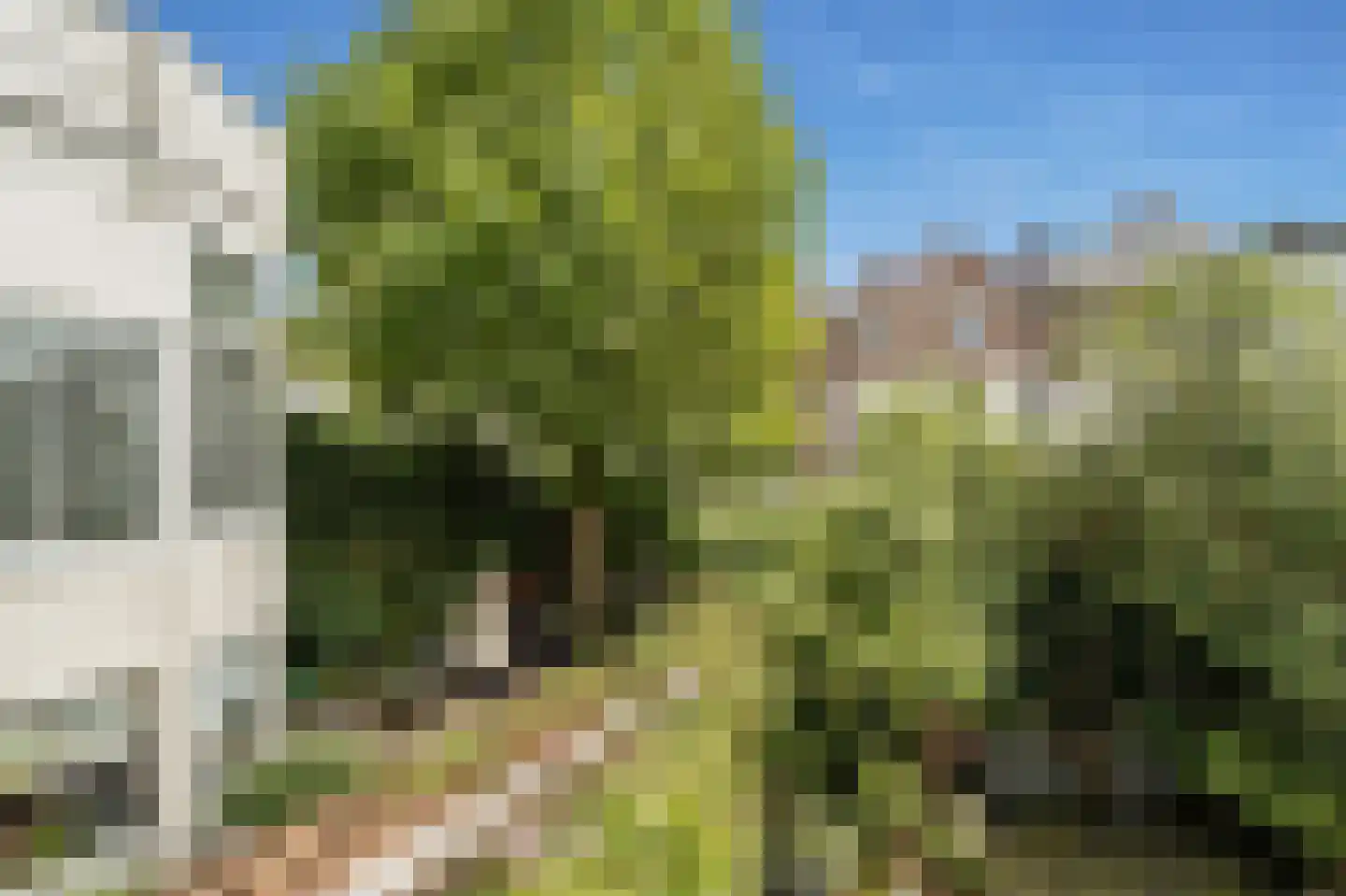 Celebesstraat 28 Den Haag thumbnail 12