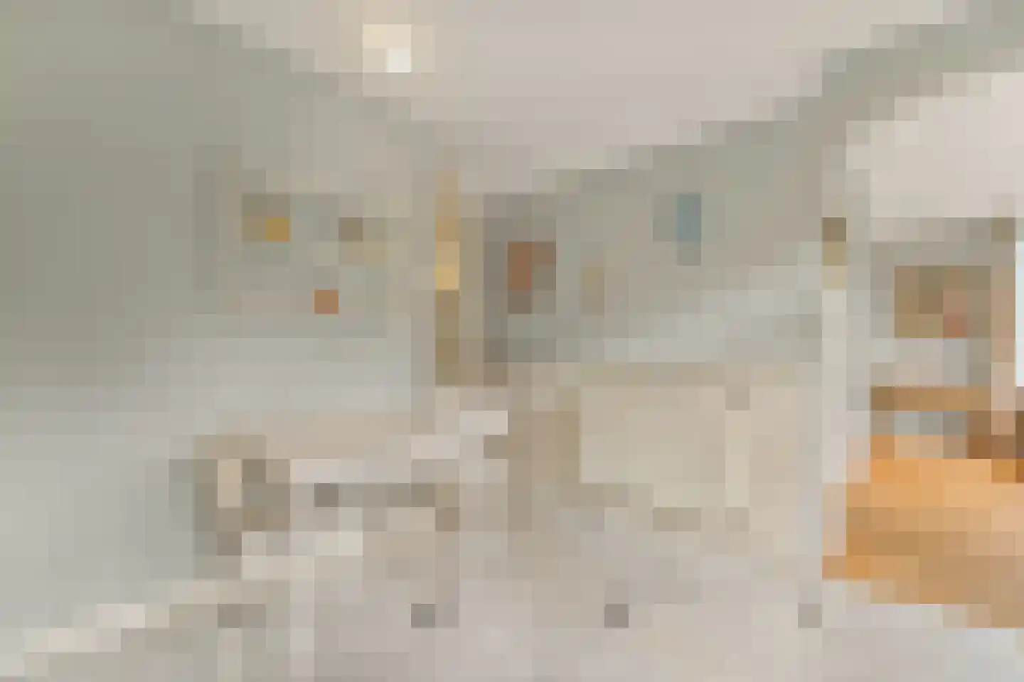Celebesstraat 28 Den Haag thumbnail 33