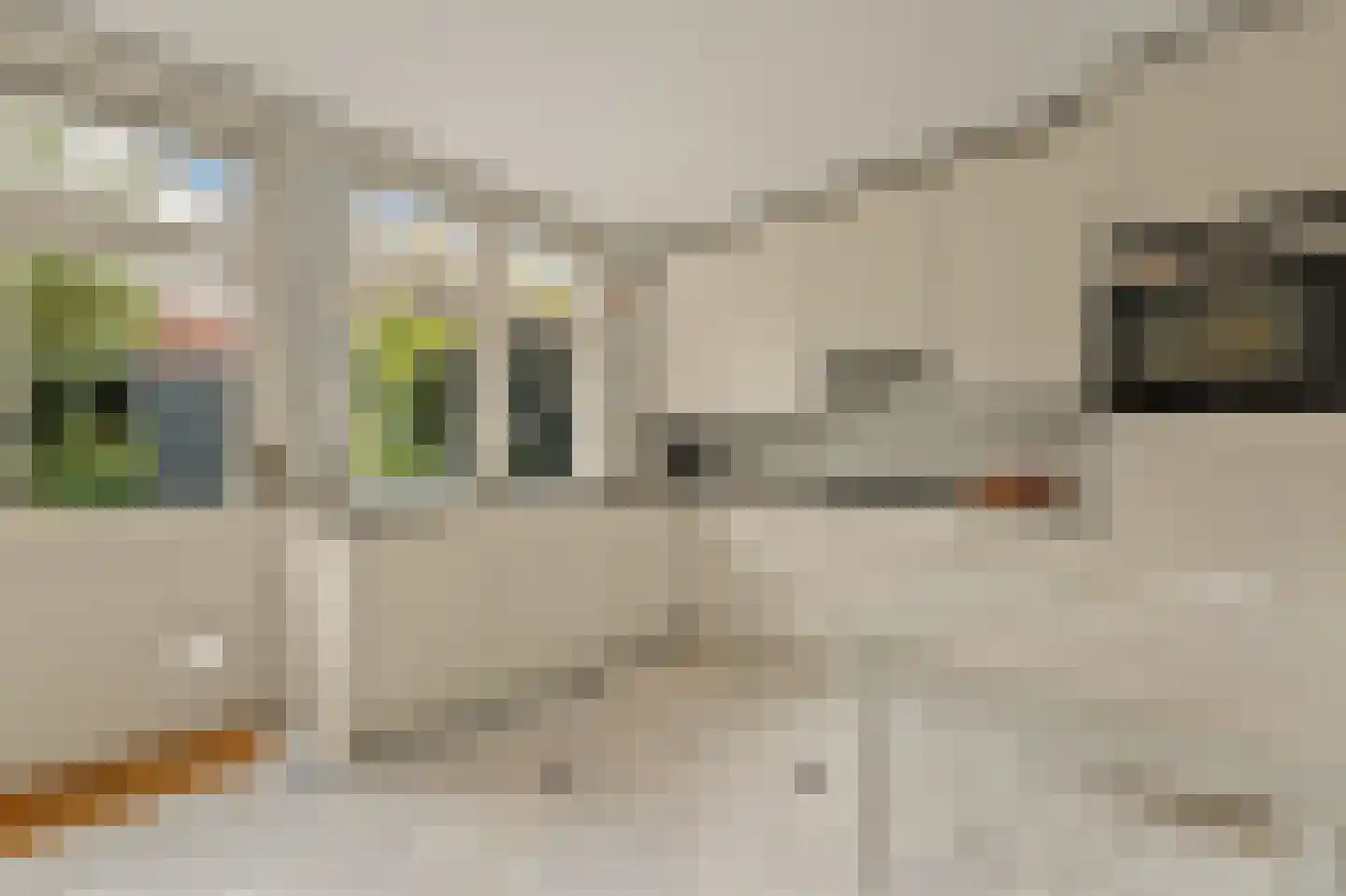 Celebesstraat 28 Den Haag thumbnail 34