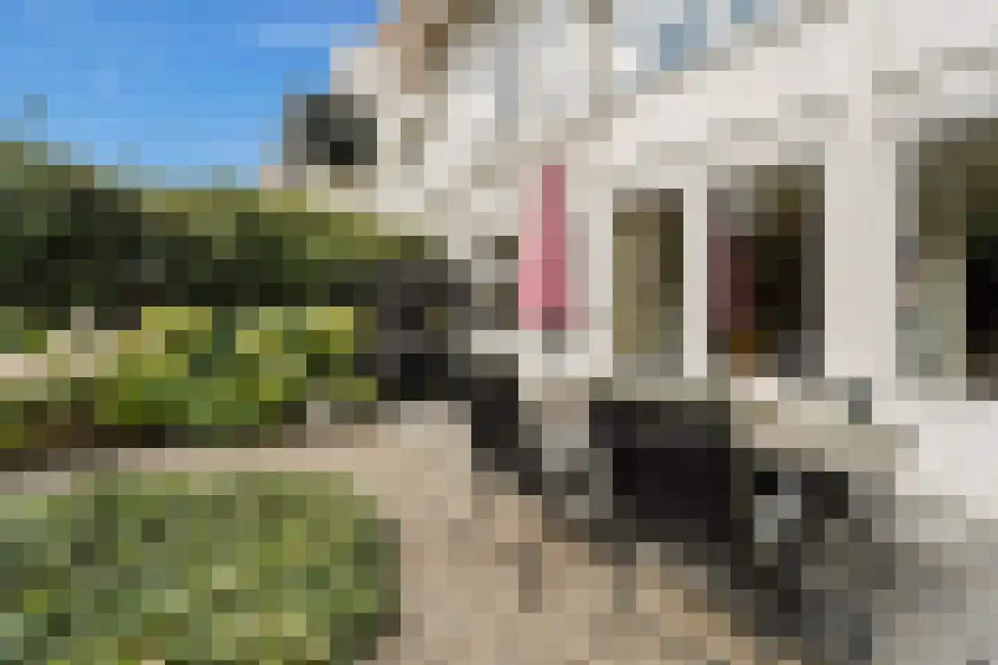 Celebesstraat 28 Den Haag thumbnail 36