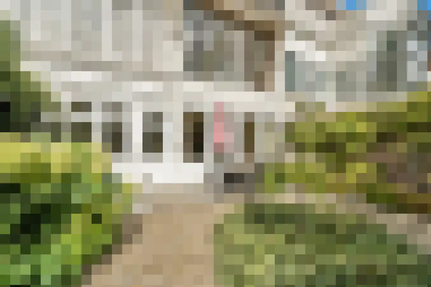Celebesstraat 28 Den Haag thumbnail 40