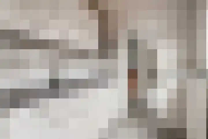 Celebesstraat 3 Zwolle thumbnail 11