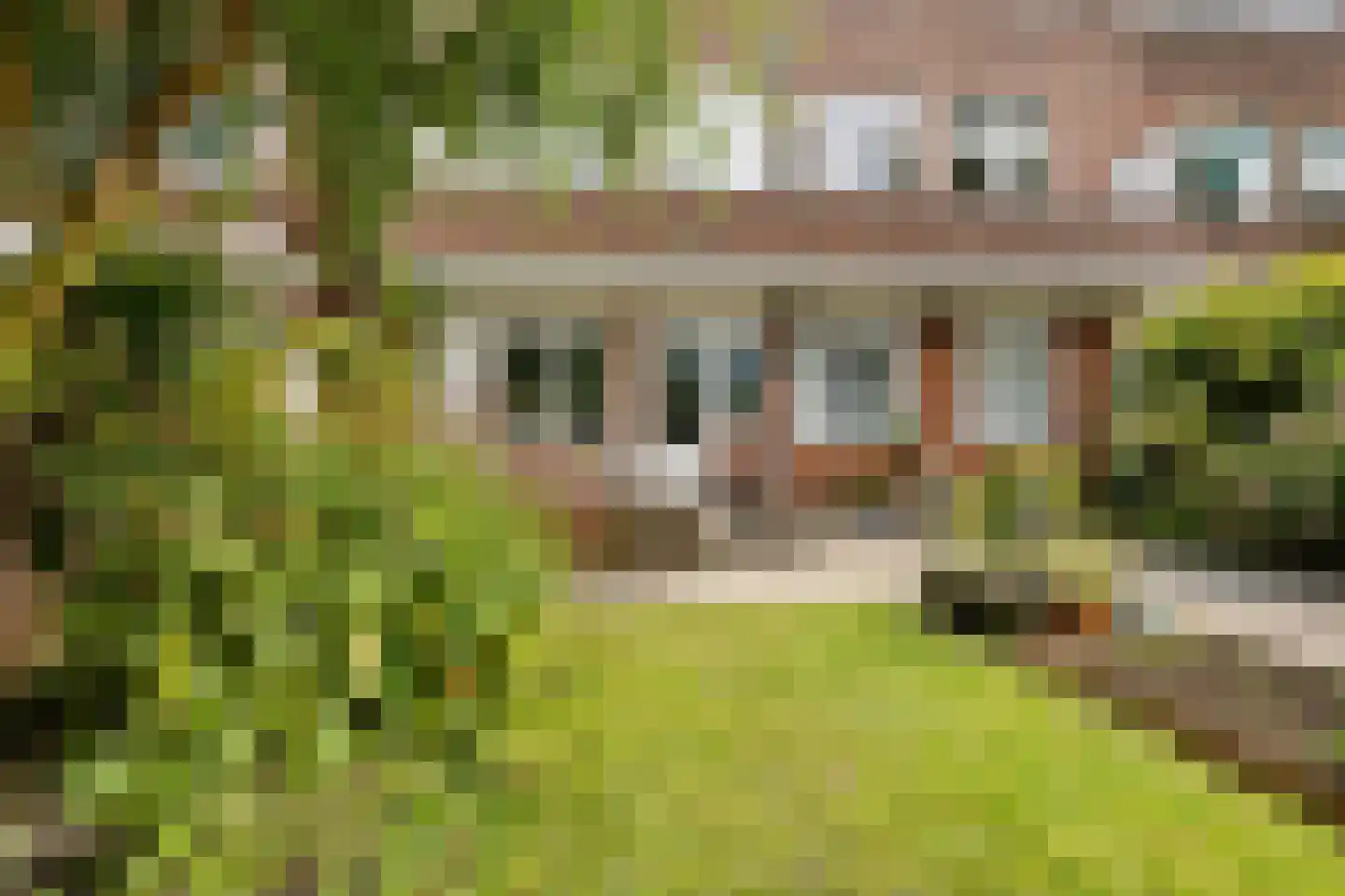 Celebesstraat 32 Groningen thumbnail 36