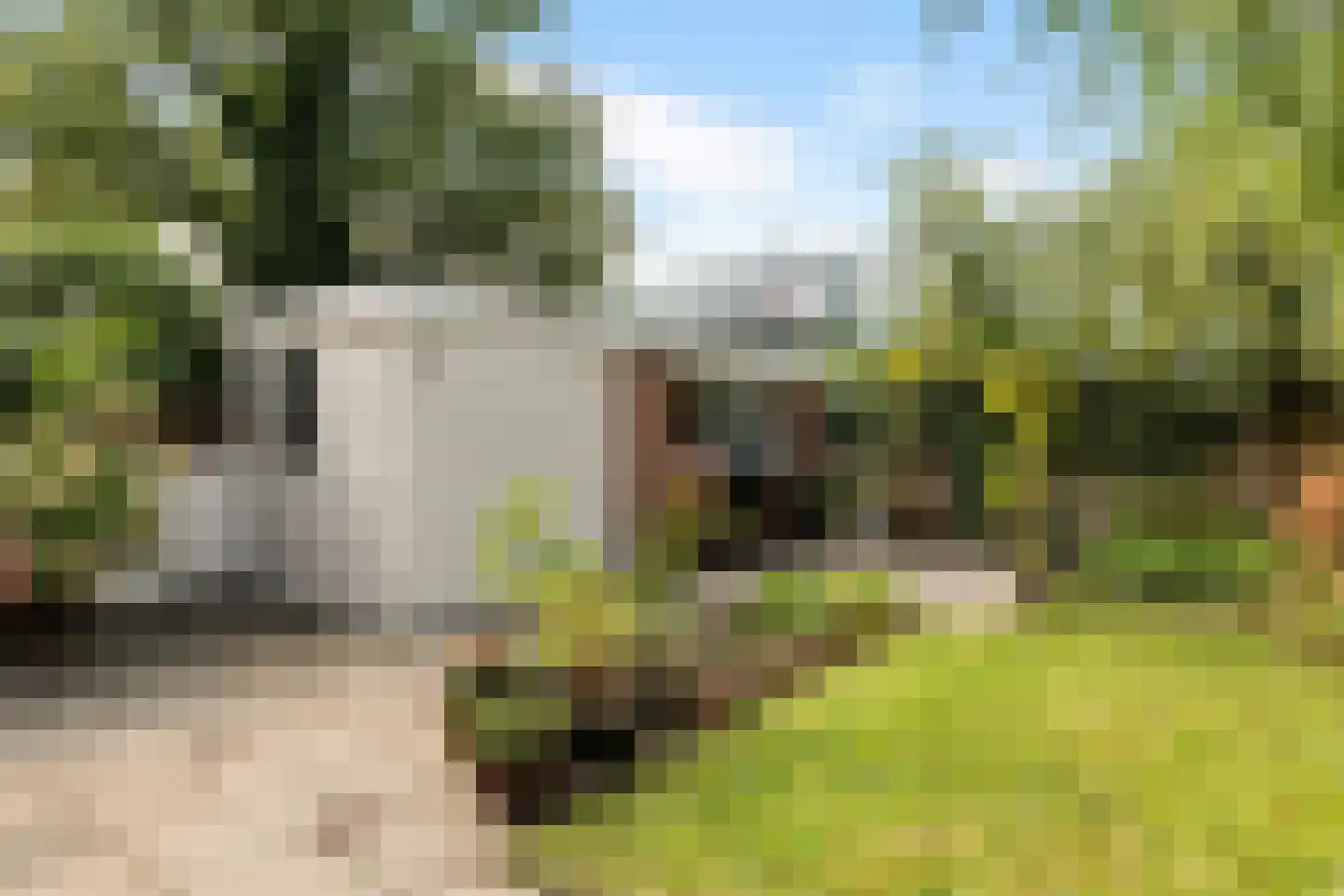 Celebesstraat 32 Groningen thumbnail 45