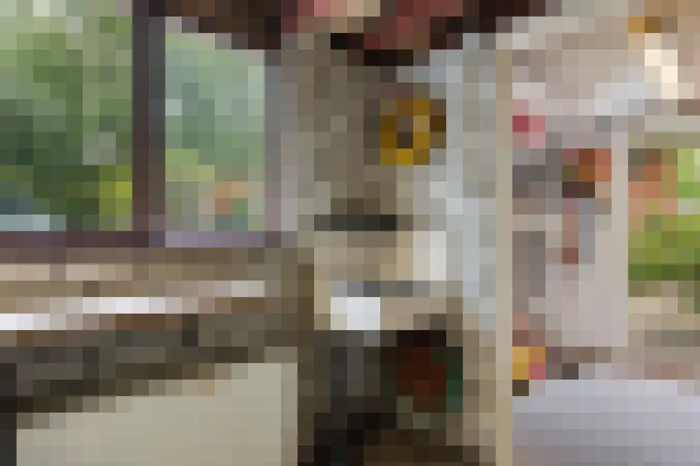 Celebesstraat 32 Groningen thumbnail 47