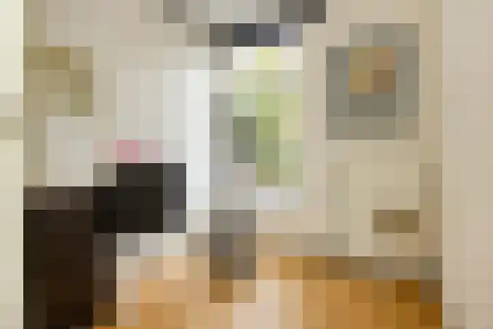 Celebesstraat 32 Haarlem thumbnail 21