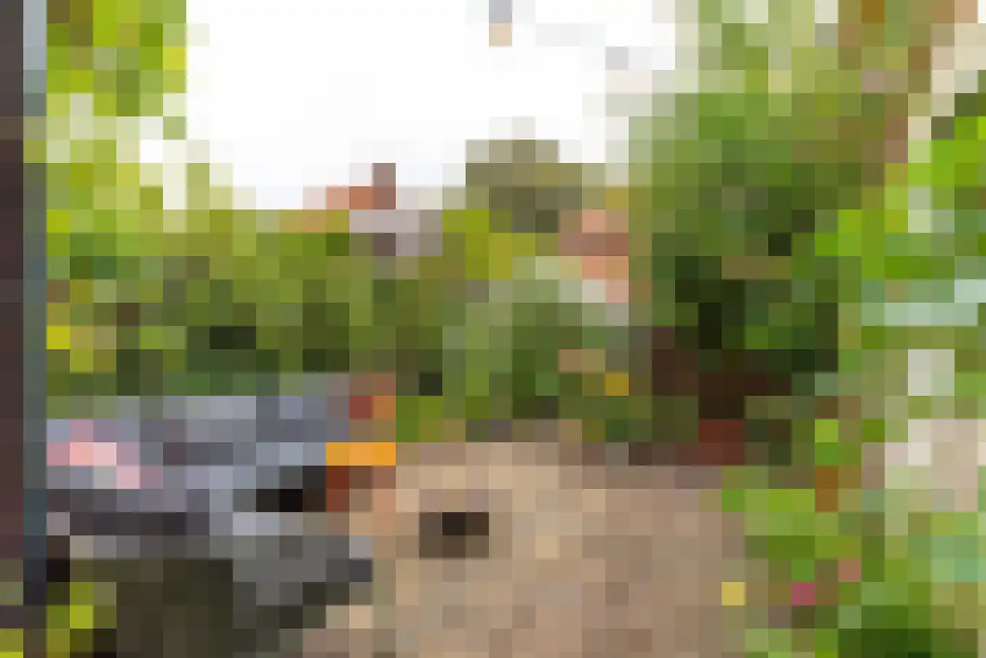 Celebesstraat 35 Baarn thumbnail 14
