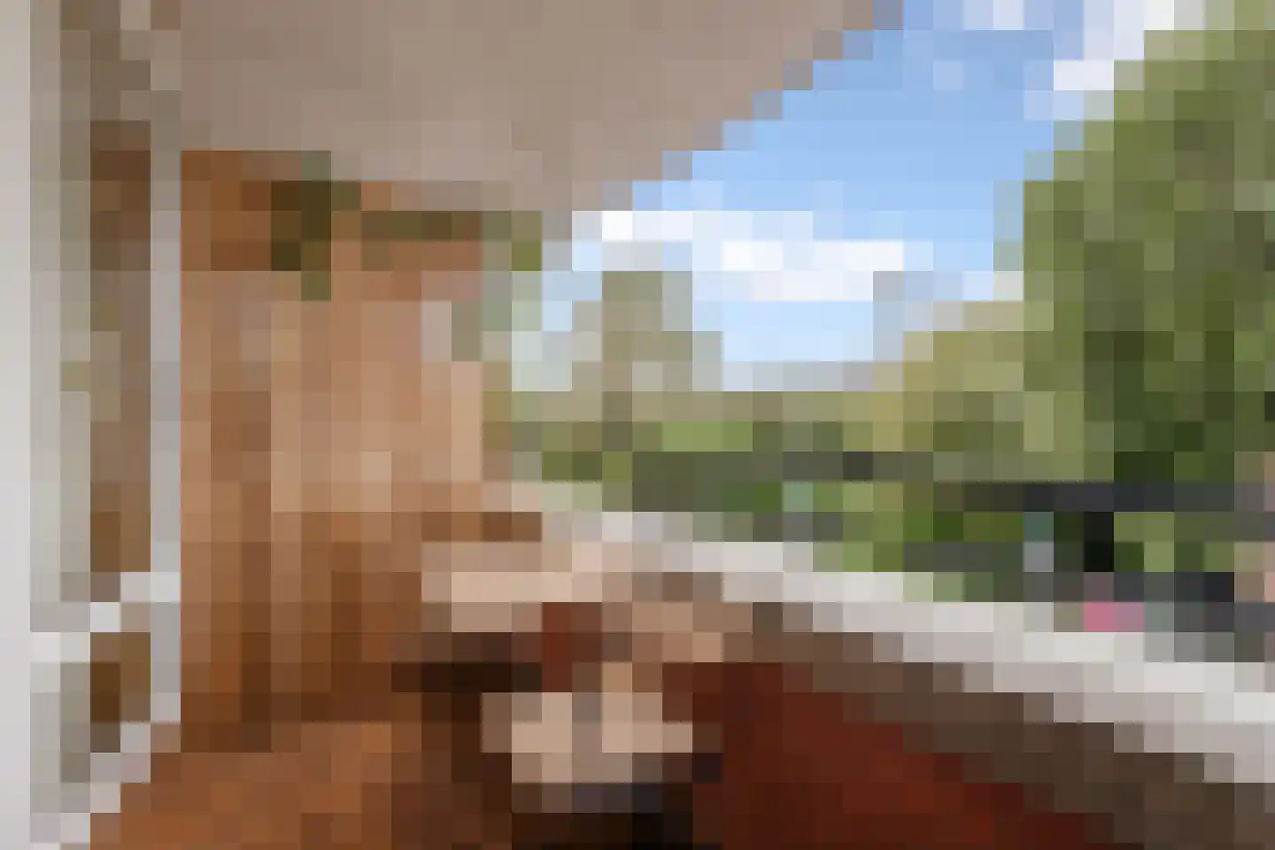 Celebesstraat 39 B Amsterdam thumbnail 26