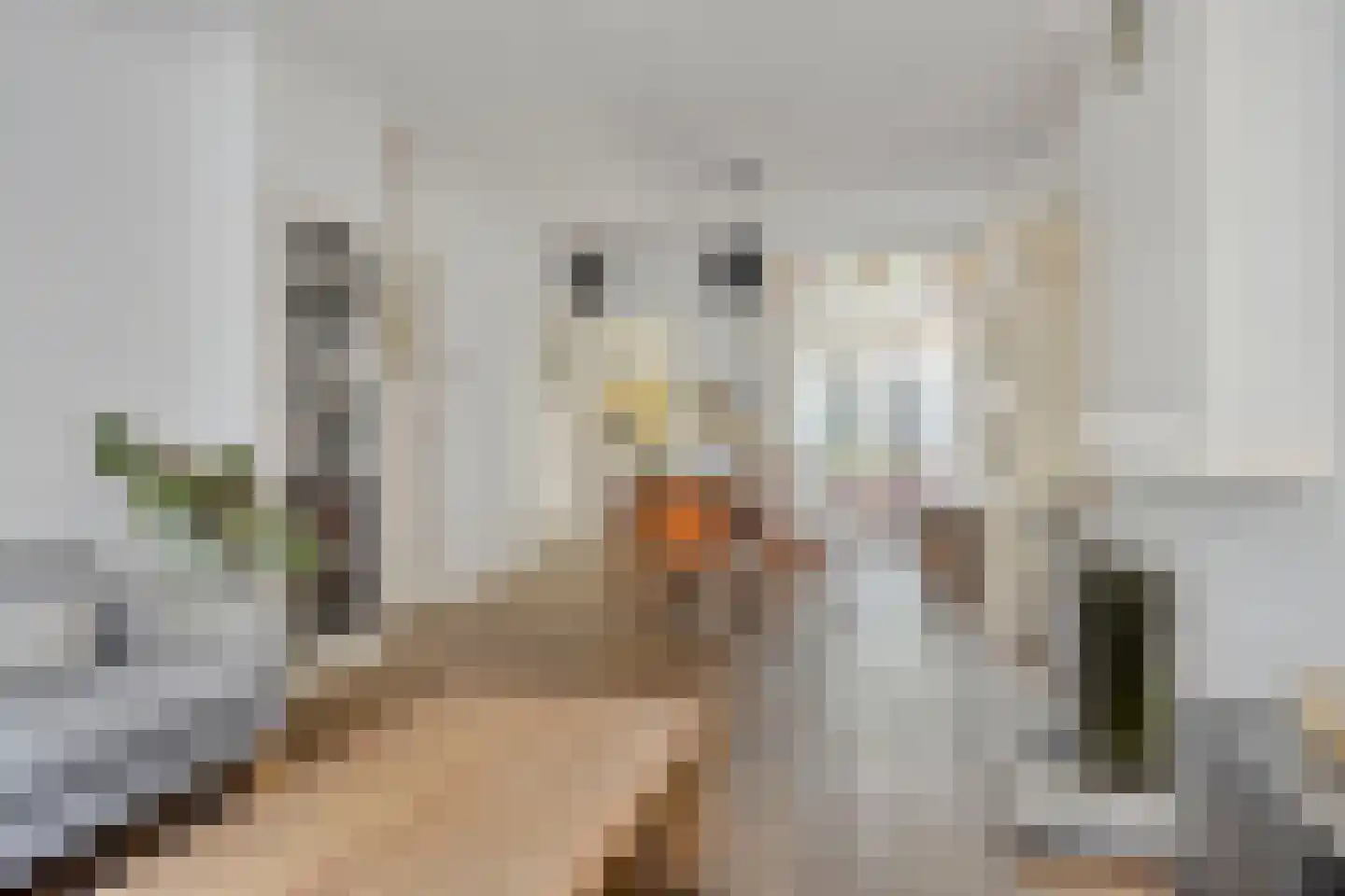 Celebesstraat 4 Tilburg thumbnail 17