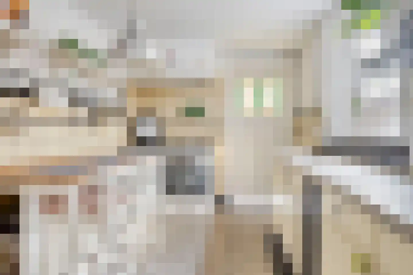 Celebesstraat 4 Tilburg thumbnail 24