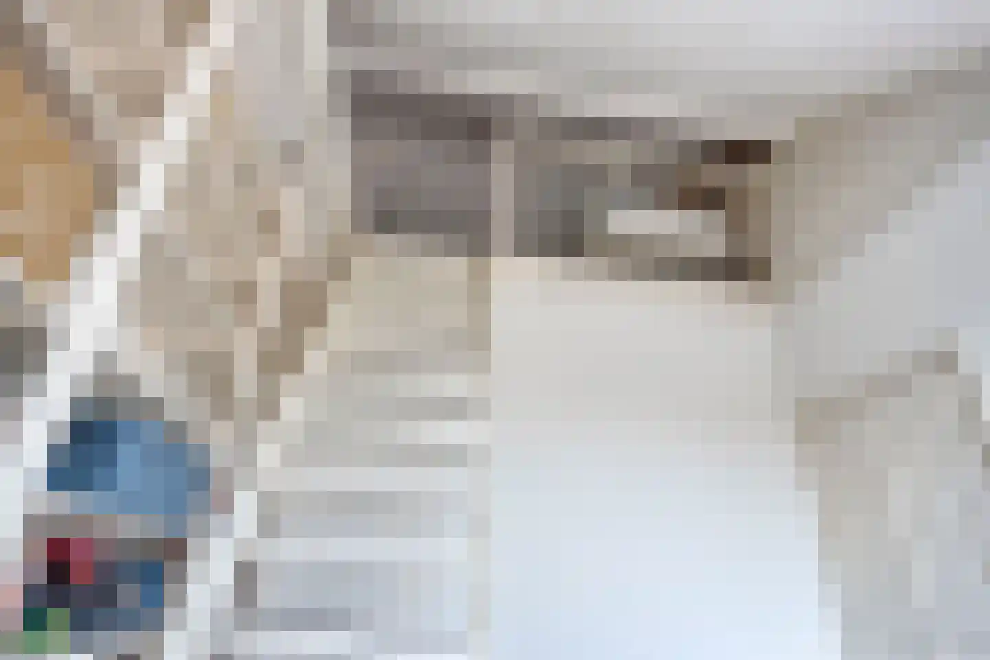Celebesstraat 4 Tilburg thumbnail 38