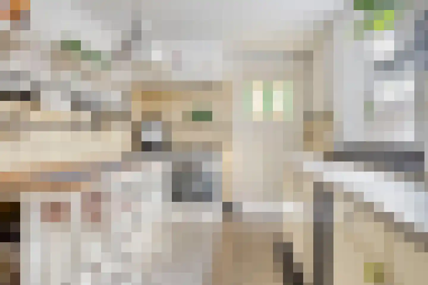 Celebesstraat 4 Tilburg thumbnail 4