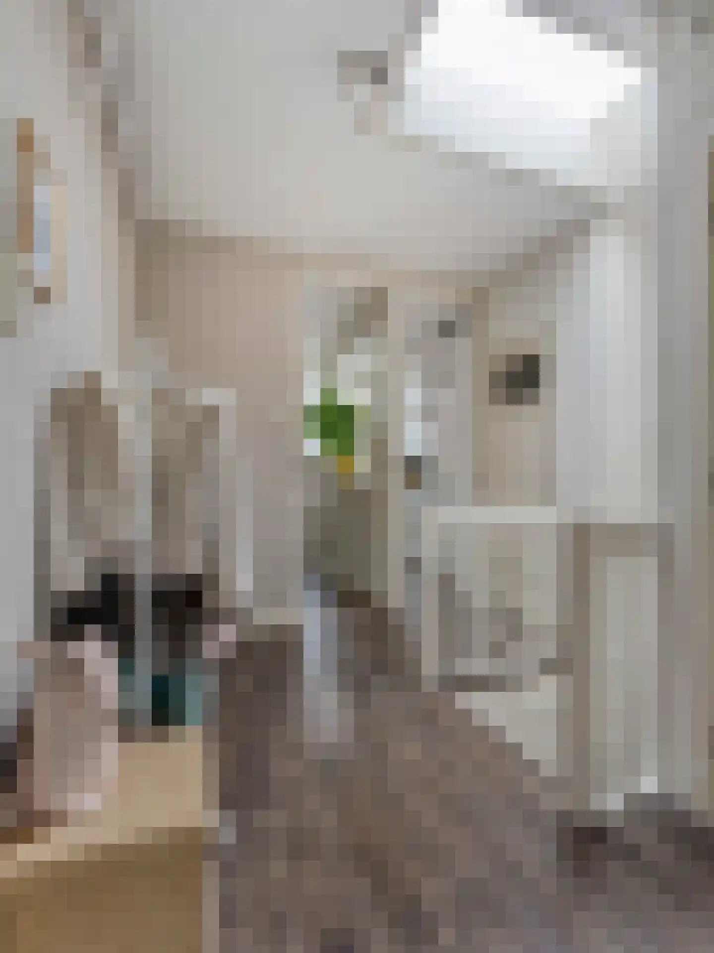 Celebesstraat 40 BSA Utrecht thumbnail 31