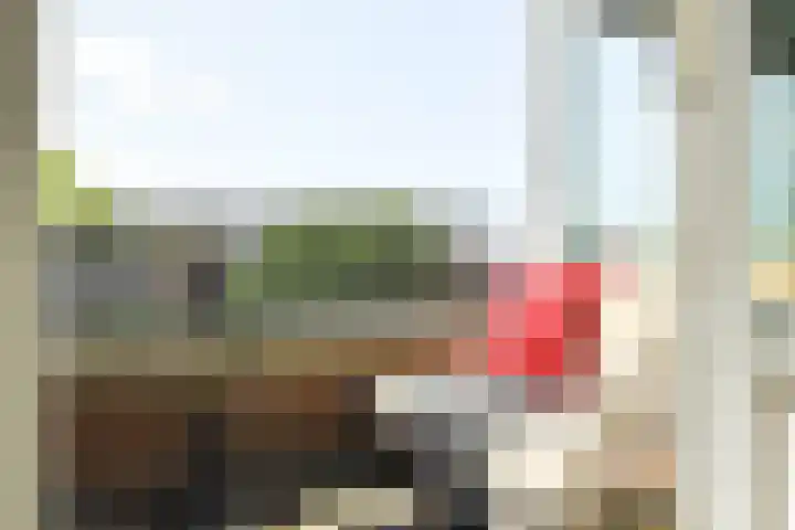 Celebesstraat 42 D Amsterdam thumbnail 17