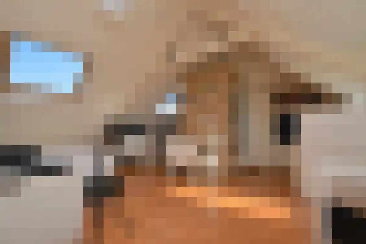 Celebesstraat 5 Groningen thumbnail 6