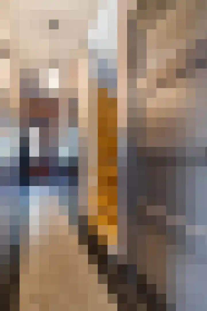 Celebesstraat 5 's-Hertogenbosch thumbnail 19