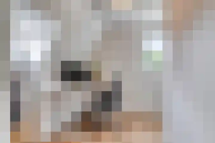 Celebesstraat 5 's-Hertogenbosch thumbnail 30