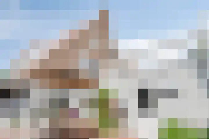 Celebesstraat 5 's-Hertogenbosch thumbnail 31