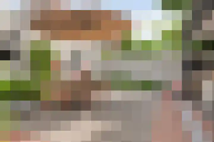 Celebesstraat 5 's-Hertogenbosch thumbnail 33