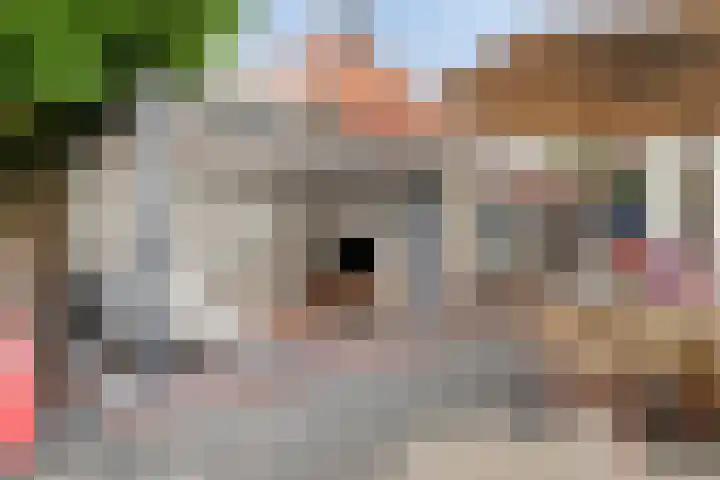 Celebesstraat 5 's-Hertogenbosch thumbnail 34