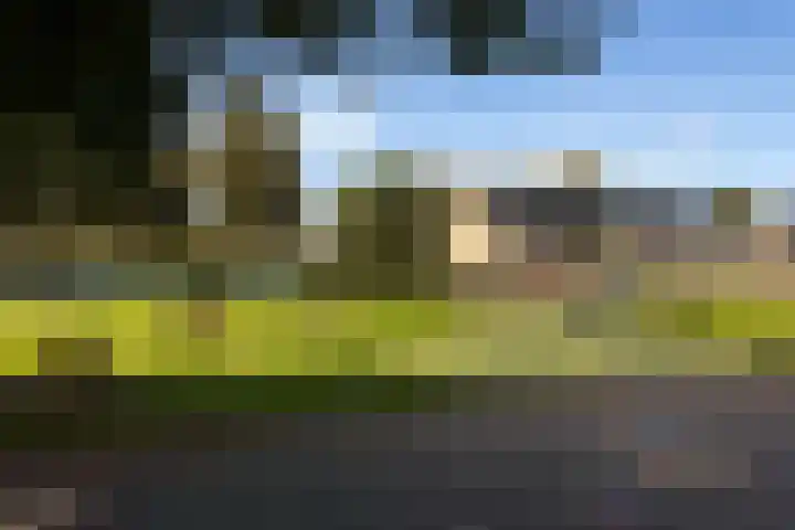 Celebesstraat 5 's-Hertogenbosch thumbnail 39
