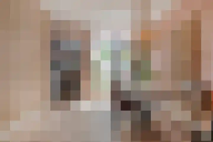 Celebesstraat 5 's-Hertogenbosch thumbnail 9