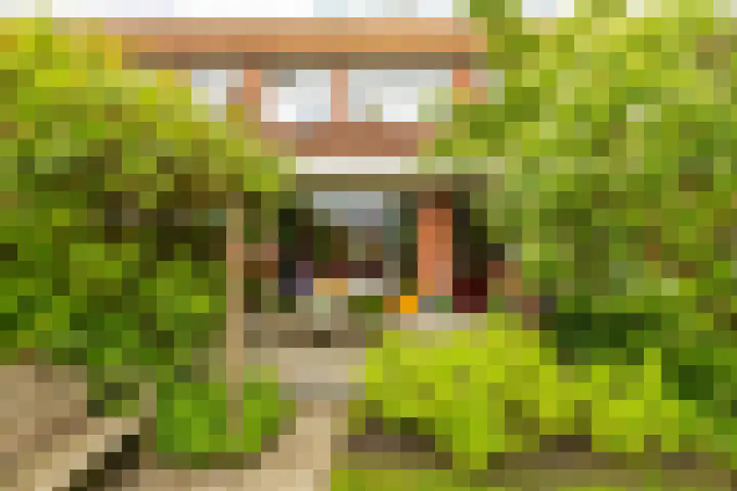Celebesstraat 50 Groningen thumbnail 19