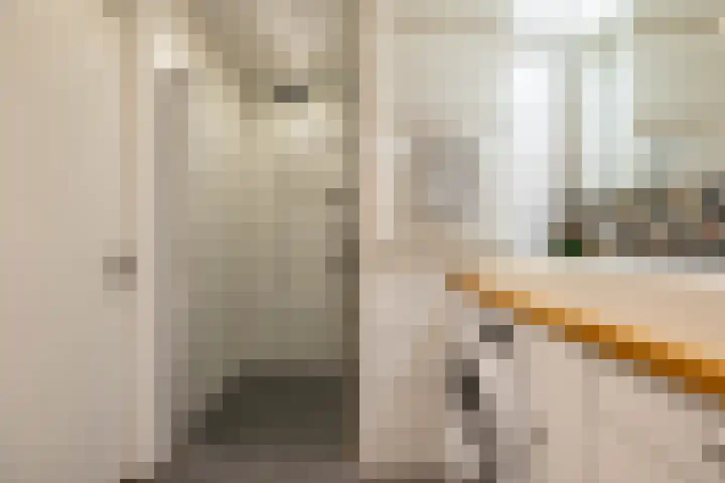 Celebesstraat 50 Groningen thumbnail 34