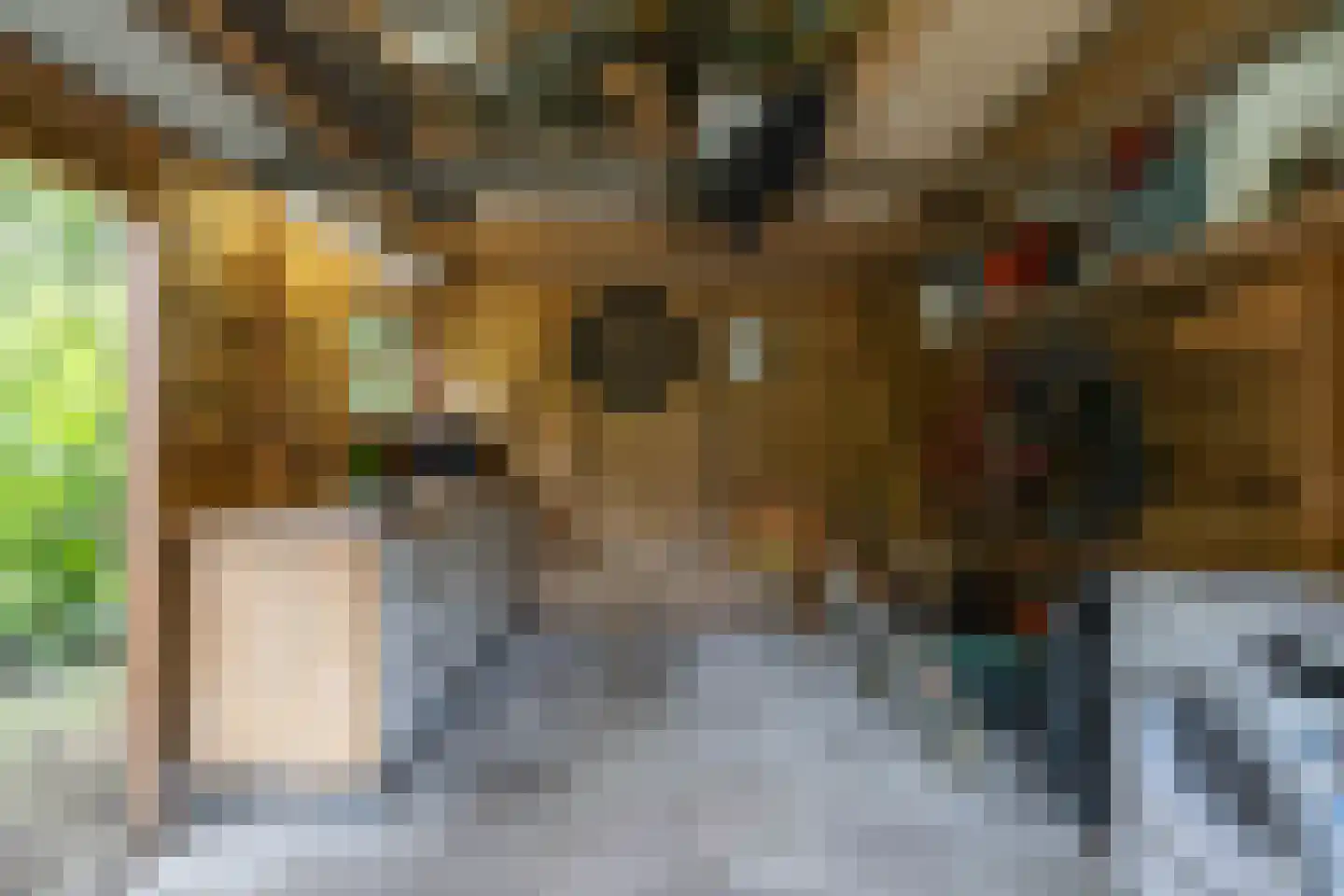 Celebesstraat 50 Groningen thumbnail 36
