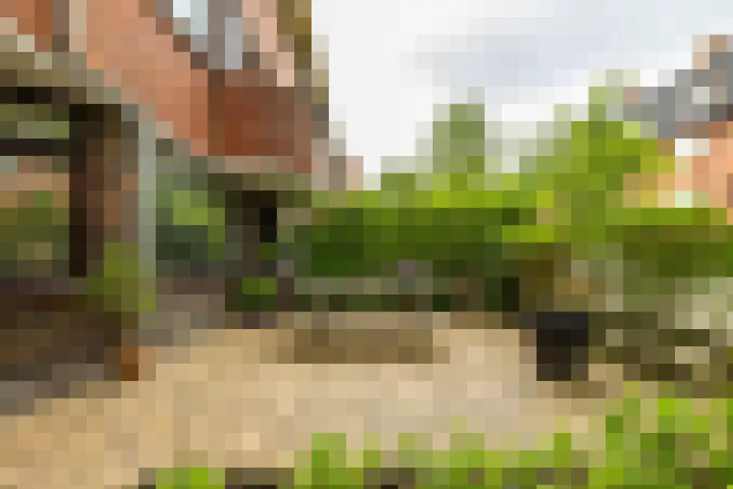 Celebesstraat 50 Groningen thumbnail 38