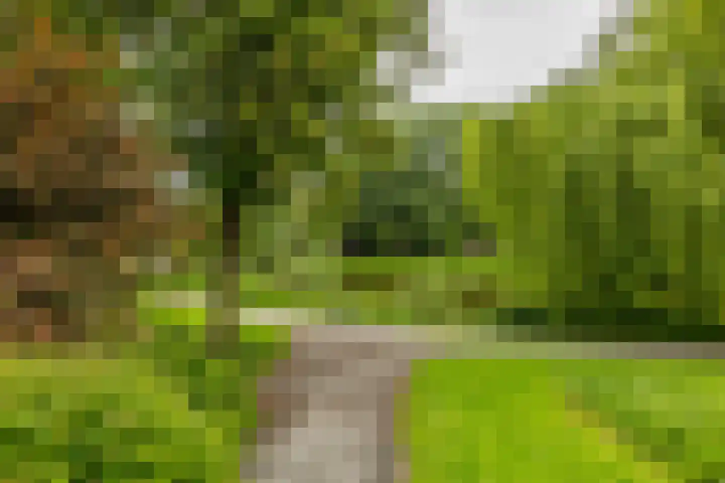 Celebesstraat 50 Groningen thumbnail 39