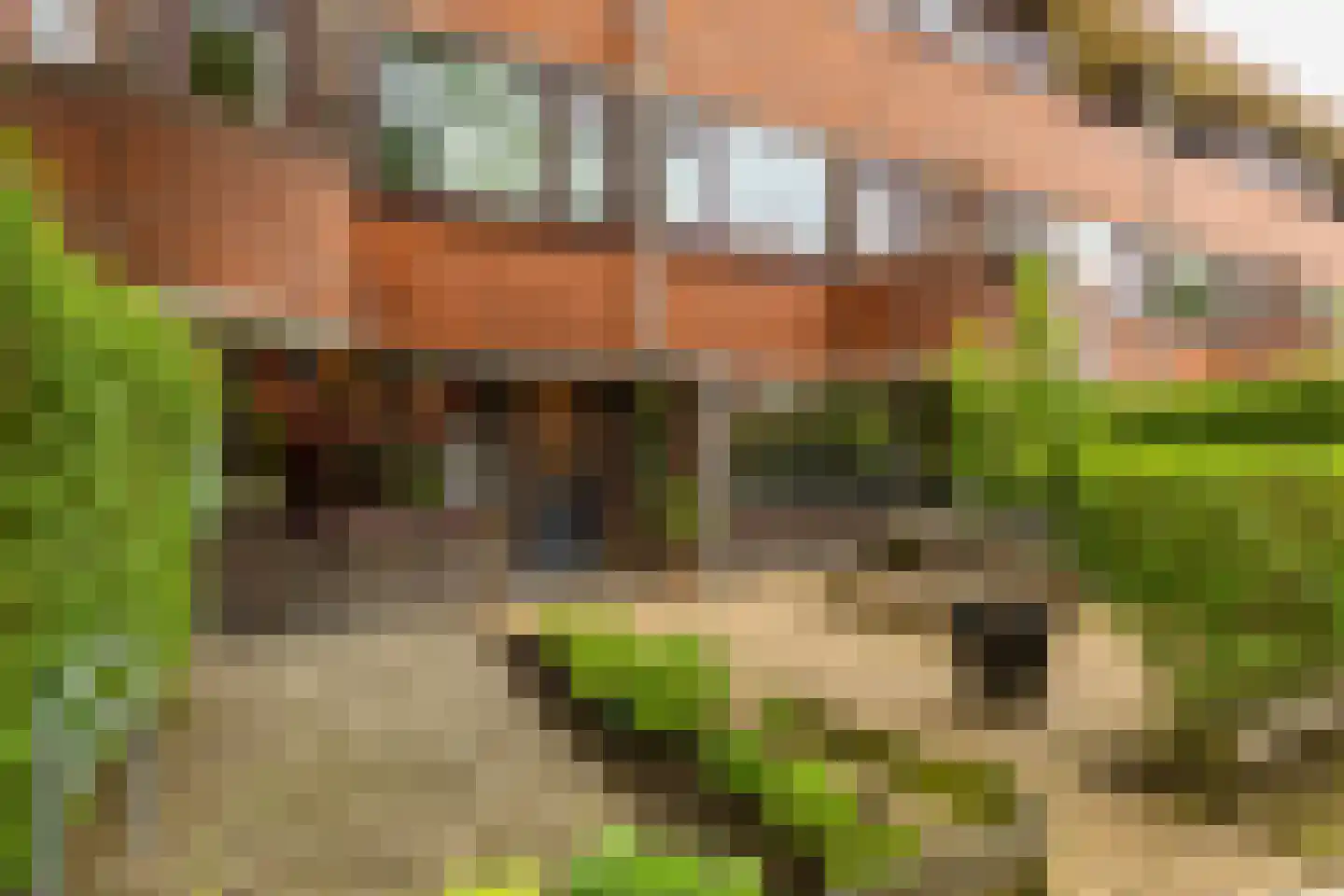 Celebesstraat 50 Groningen thumbnail 4
