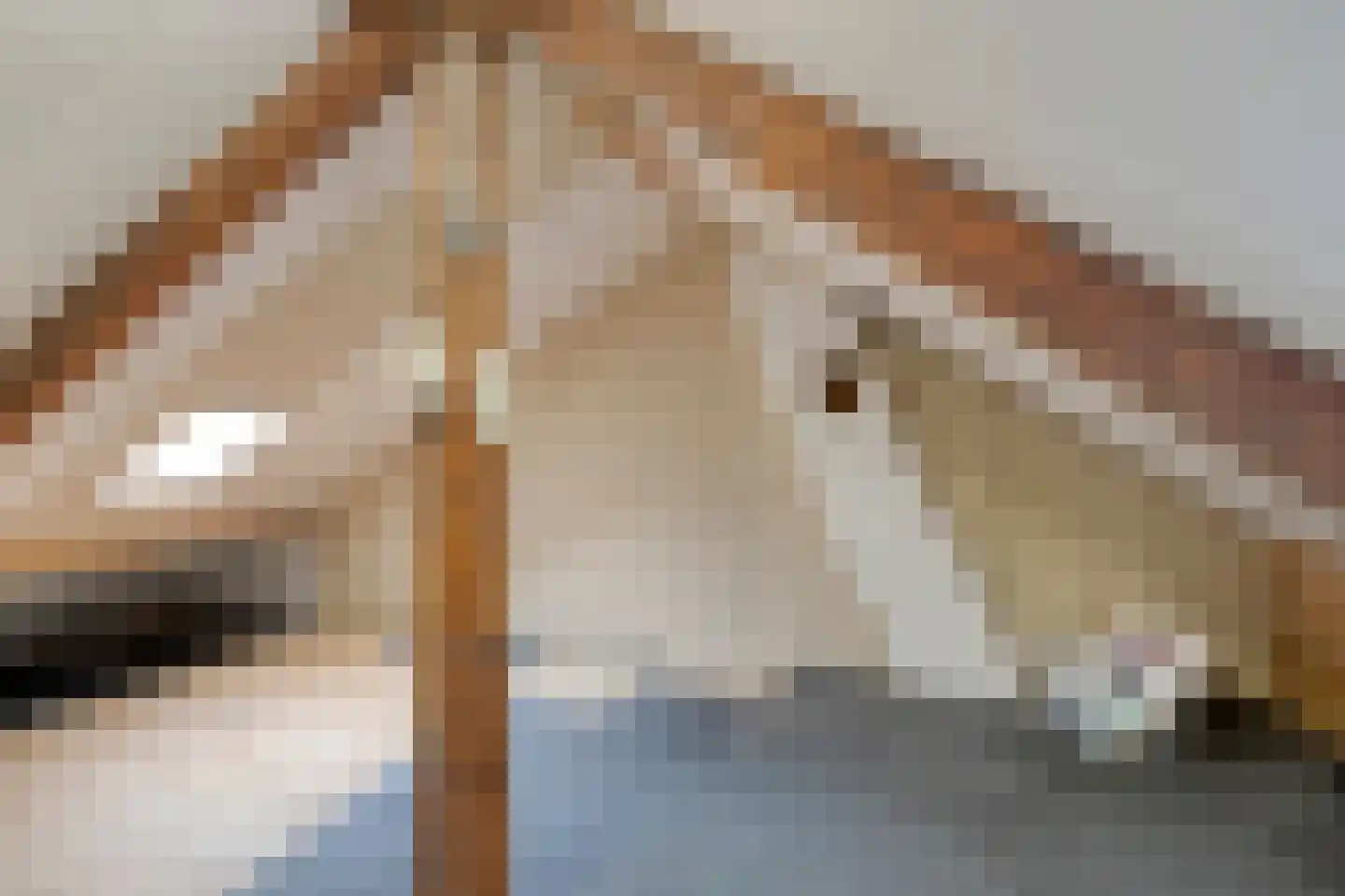 Celebesstraat 56 Tilburg thumbnail 15