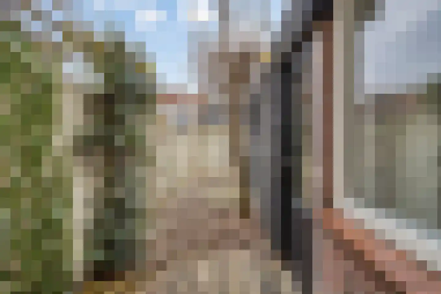 Celebesstraat 56 Tilburg thumbnail 17
