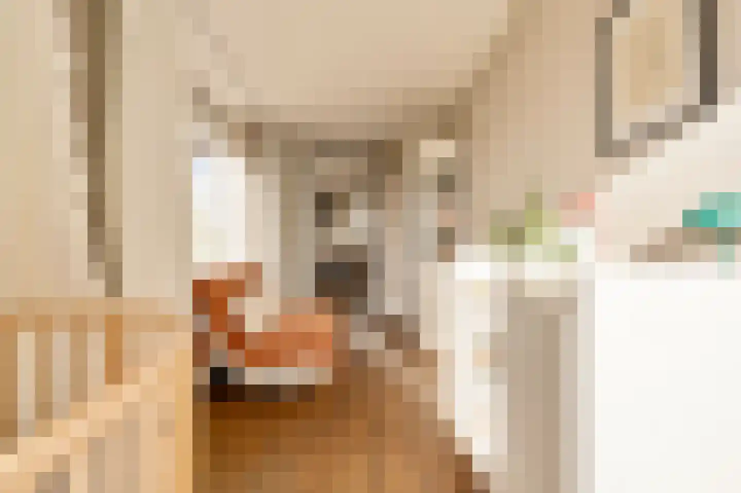 Celebesstraat 58 B Amsterdam thumbnail 13